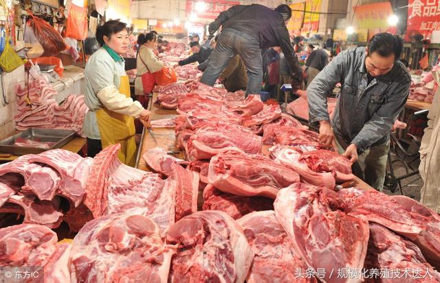 科技助力豬肉價格跟蹤，智能監(jiān)控，洞悉未來市場動態(tài)