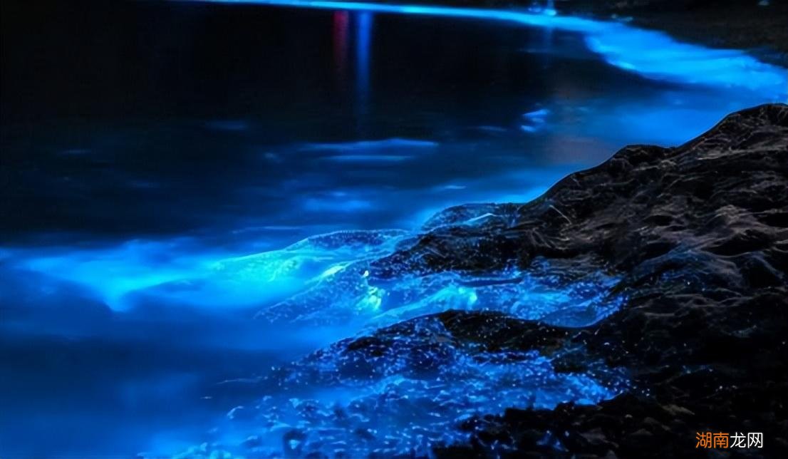 最新藍眼淚現(xiàn)象，尋找內(nèi)心平靜的奇妙旅程