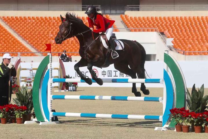 全運會男藍比賽直播,全運會男藍比賽直播，時代的榮耀與熱血篇章