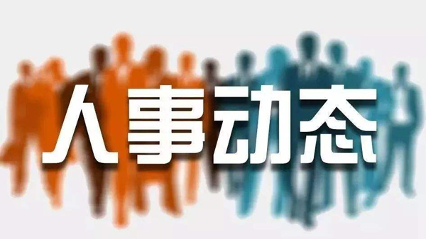長(zhǎng)治市人事任免信息解析，日常故事與任免動(dòng)態(tài)