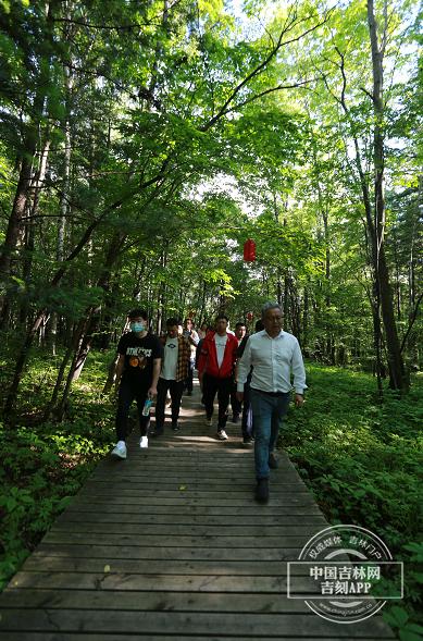 夢幻遮天最新版下載攻略，快速獲取下載渠道與指南