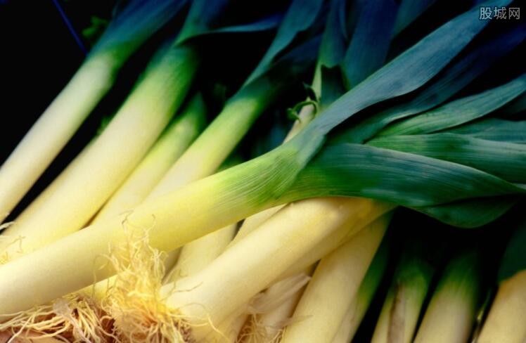 今日大蔥價(jià)格最新行情,今日大蔥價(jià)格最新行情詳解，如何獲取與分析大蔥價(jià)格信息