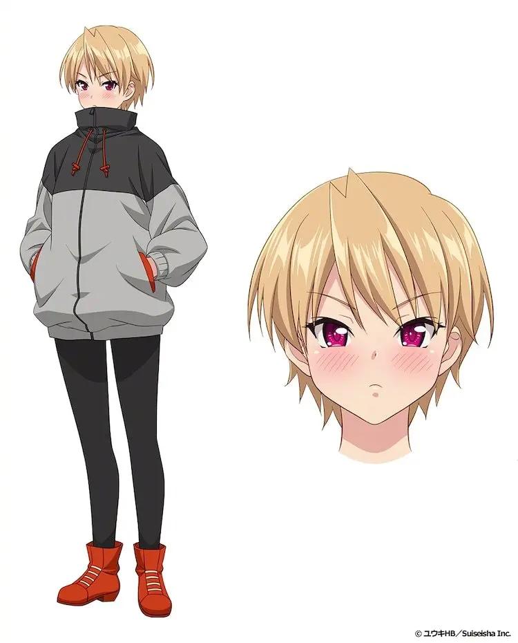 男后宮動(dòng)漫,關(guān)于男后宮動(dòng)漫，背景、發(fā)展及地位探討