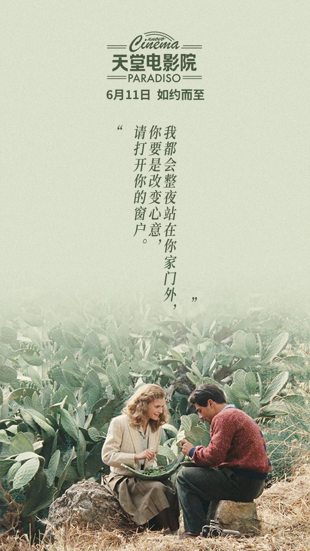 電影天堂，探尋電影的藝術(shù)精髓與無(wú)限魅力