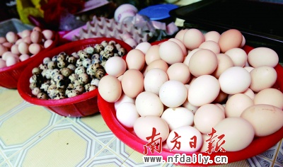 鴨蛋價(jià)格行情與探索自然美景的旅行之旅