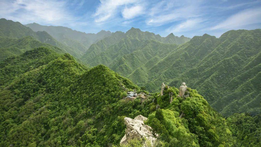 秦嶺最新動態(tài)，探險之旅與溫情之旅的奇妙交匯