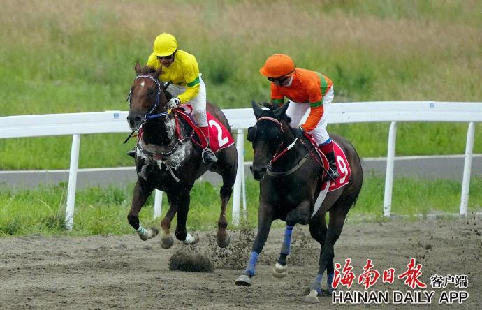 海南賽馬政策最新動態(tài)下的賽馬情緣揭秘