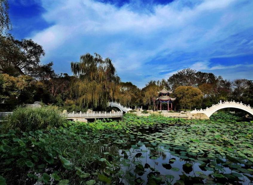 天津女排比賽門票，小巷深處的觀賽激情之旅