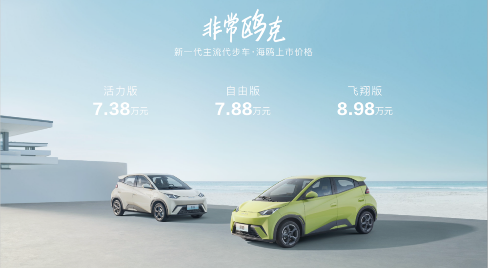 比亞迪海鷗價(jià)格背后的故事，與家的溫馨紐帶，探尋海鷗情感價(jià)值