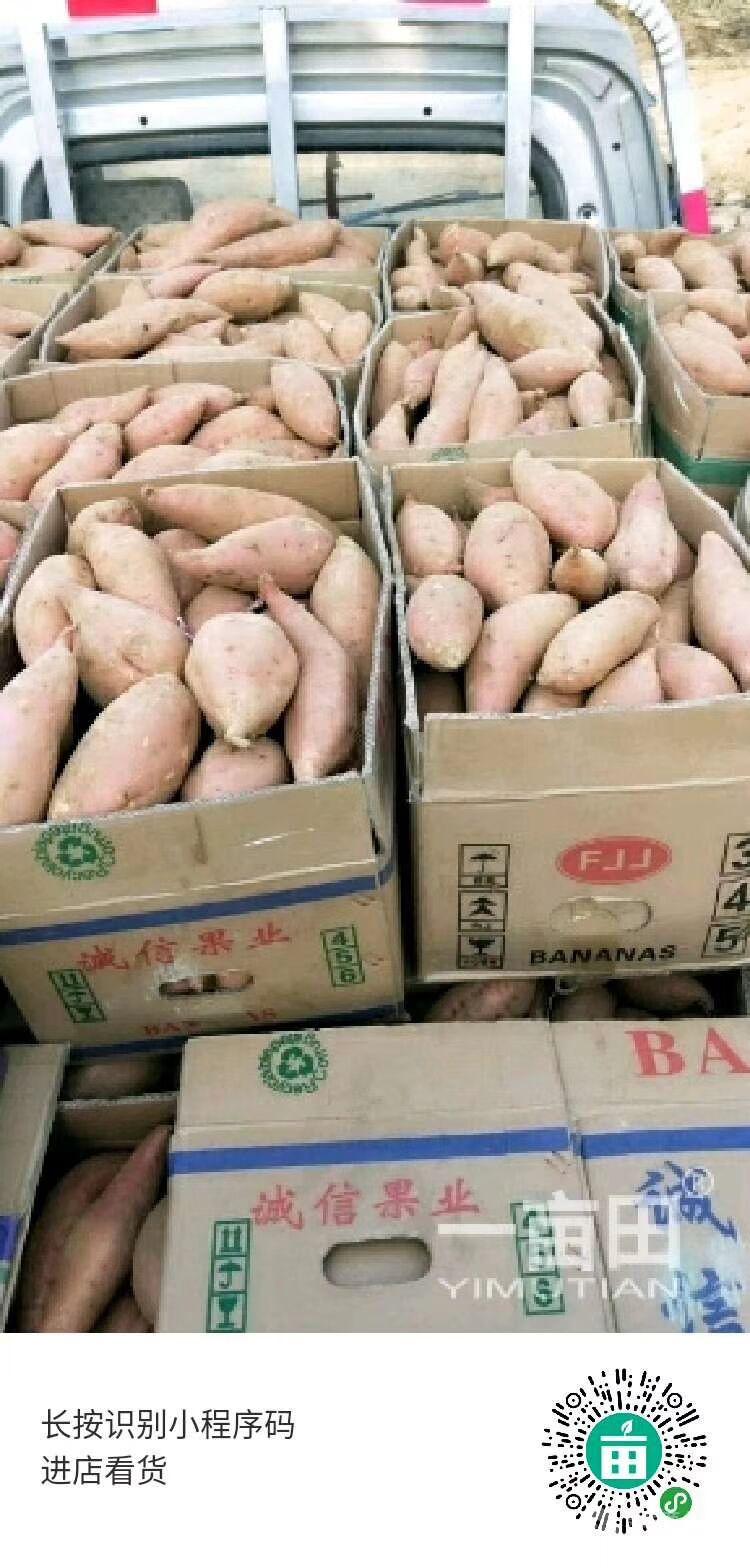 地瓜價格動態(tài)走勢,地瓜價格動態(tài)走勢，變化中的機遇與自我超越的旅程