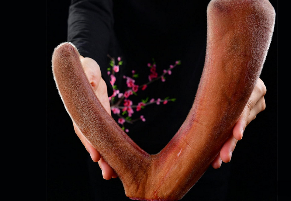 鹿茸500克價(jià)格表,鹿茸500克價(jià)格表——科技重塑珍稀養(yǎng)生新體驗(yàn)