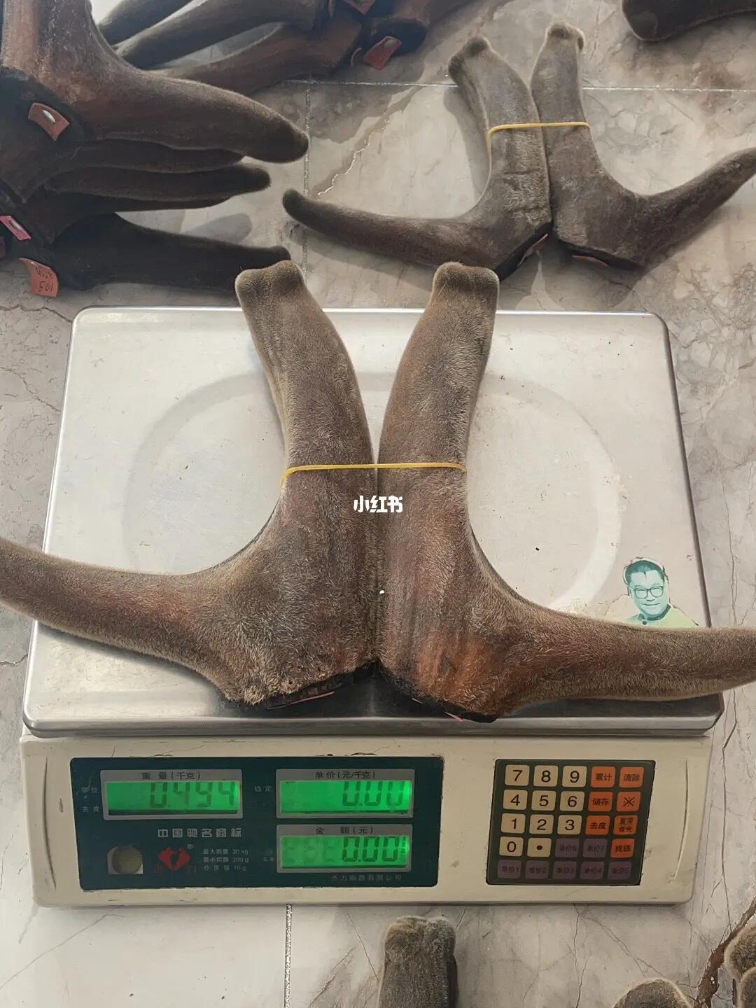 鹿茸500克價(jià)格表,鹿茸500克價(jià)格表——科技重塑珍稀養(yǎng)生新體驗(yàn)