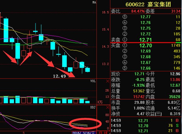 嘉寶集團(tuán)股票行情,嘉寶集團(tuán)股票行情，追溯背景，見證發(fā)展