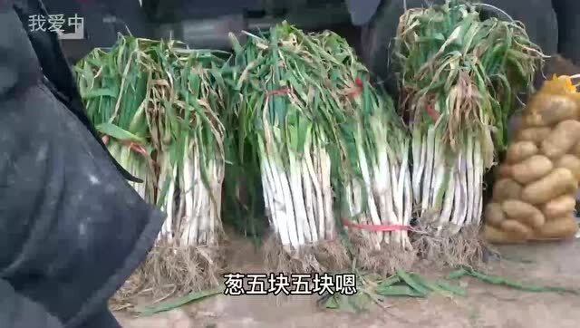 今日大蔥價(jià)格行情詳解，獲取與分析價(jià)格信息的指南