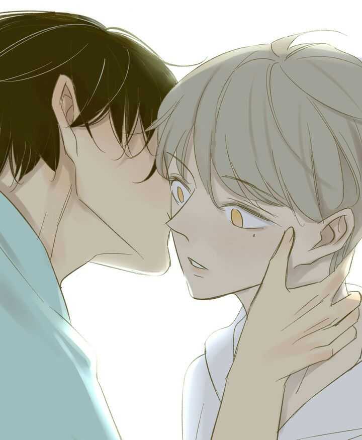 暖心日常在同性動漫中的展現(xiàn)