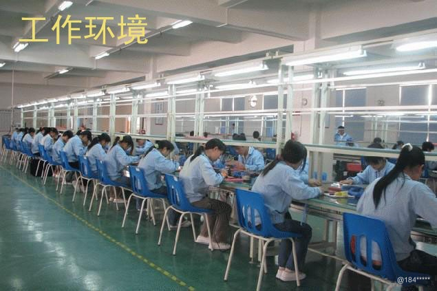 趙縣工廠最新招工信息及其論述