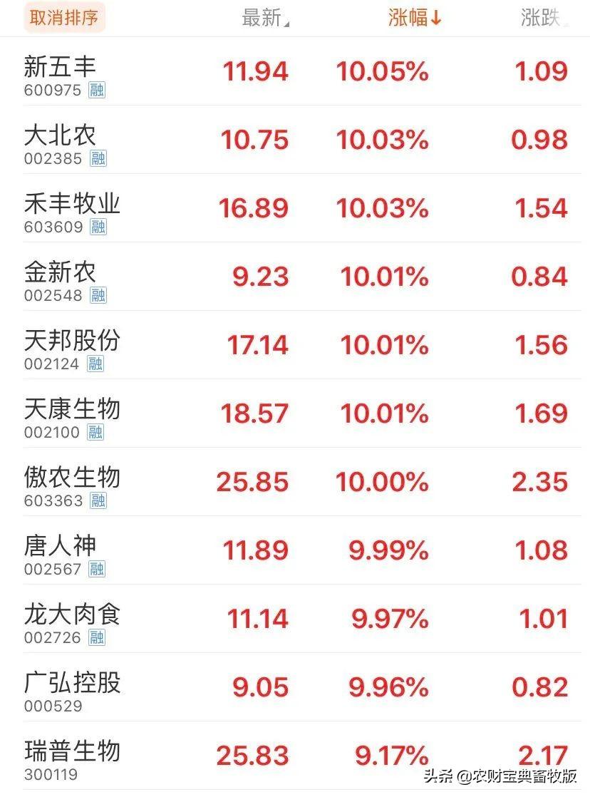 股票新五豐，深度解析投資價(jià)值與策略選擇