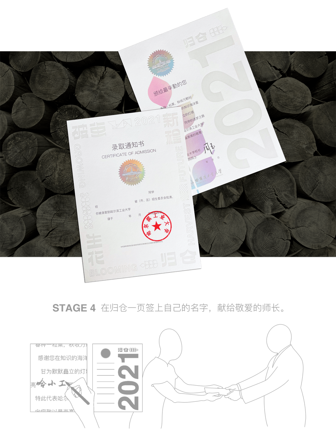 小巷印章探秘，最新章節(jié)揭秘官方印章的魅力