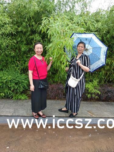 最新美女圖片，時代印記與文化的鏡像展現(xiàn)