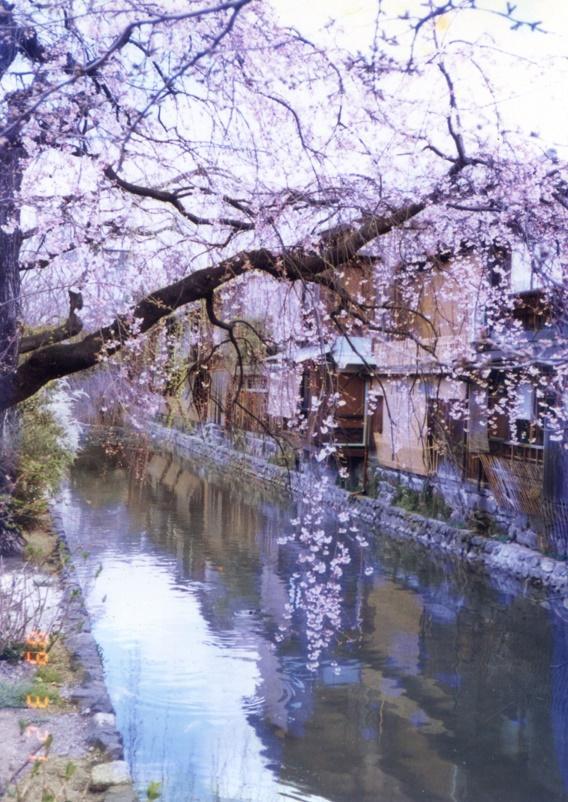 約會大作戰(zhàn)櫻花動漫，時代印記與文化回響