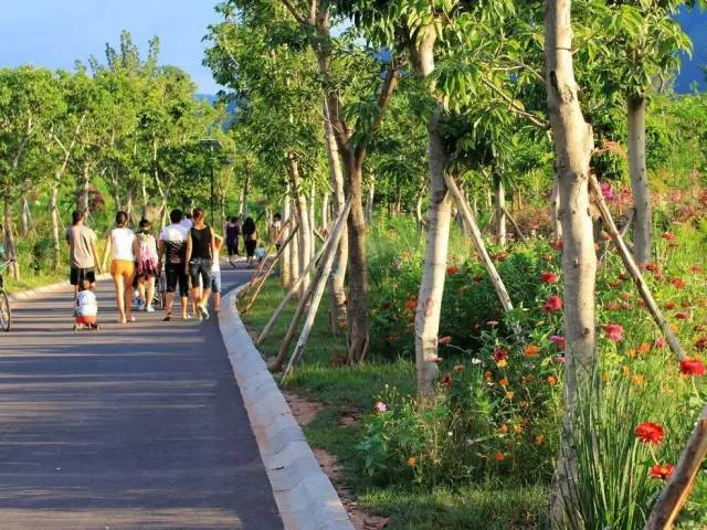 安寧河谷規(guī)劃進(jìn)展更新及觀點(diǎn)論述綜述