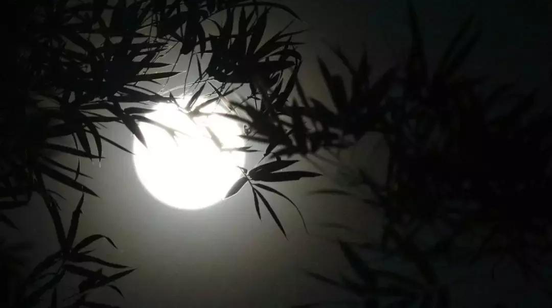 最新安康人事動(dòng)態(tài)及步驟指南