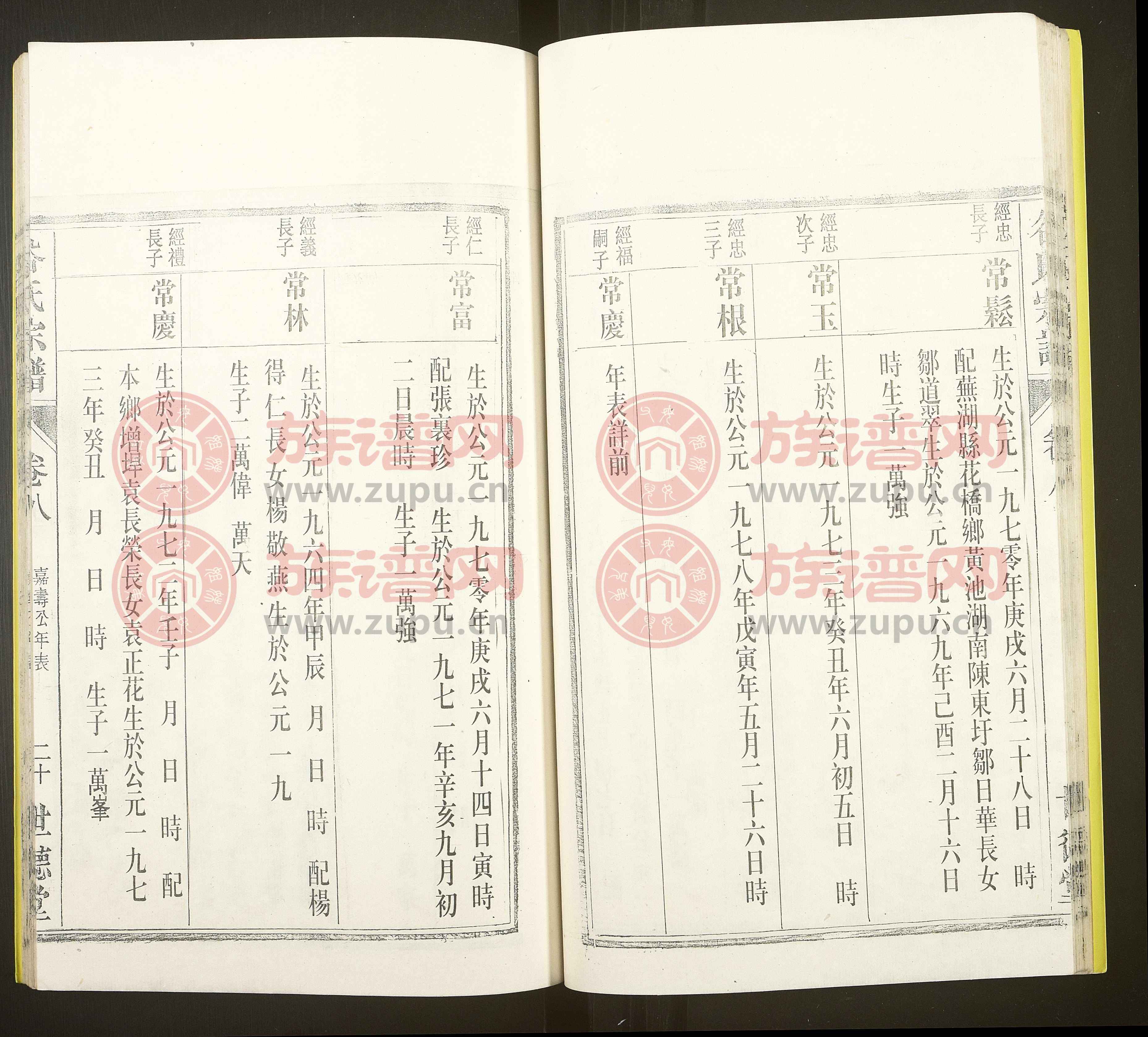 谷氏族譜更新版，探尋歷史脈絡(luò)，傳承家族榮耀與榮耀谷氏血脈的世代傳承故事