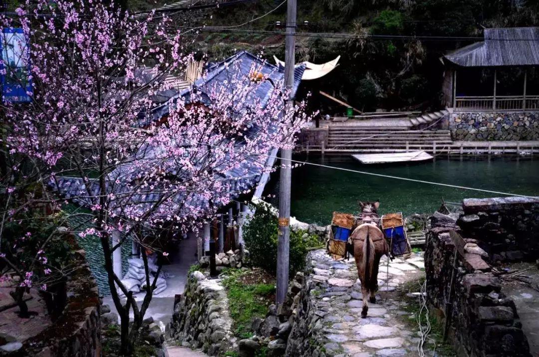 瑞安地圖更新，城市變遷與我們的成長(zhǎng)之路