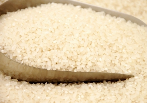 全球大米市場最新行情概覽與未來趨勢洞察