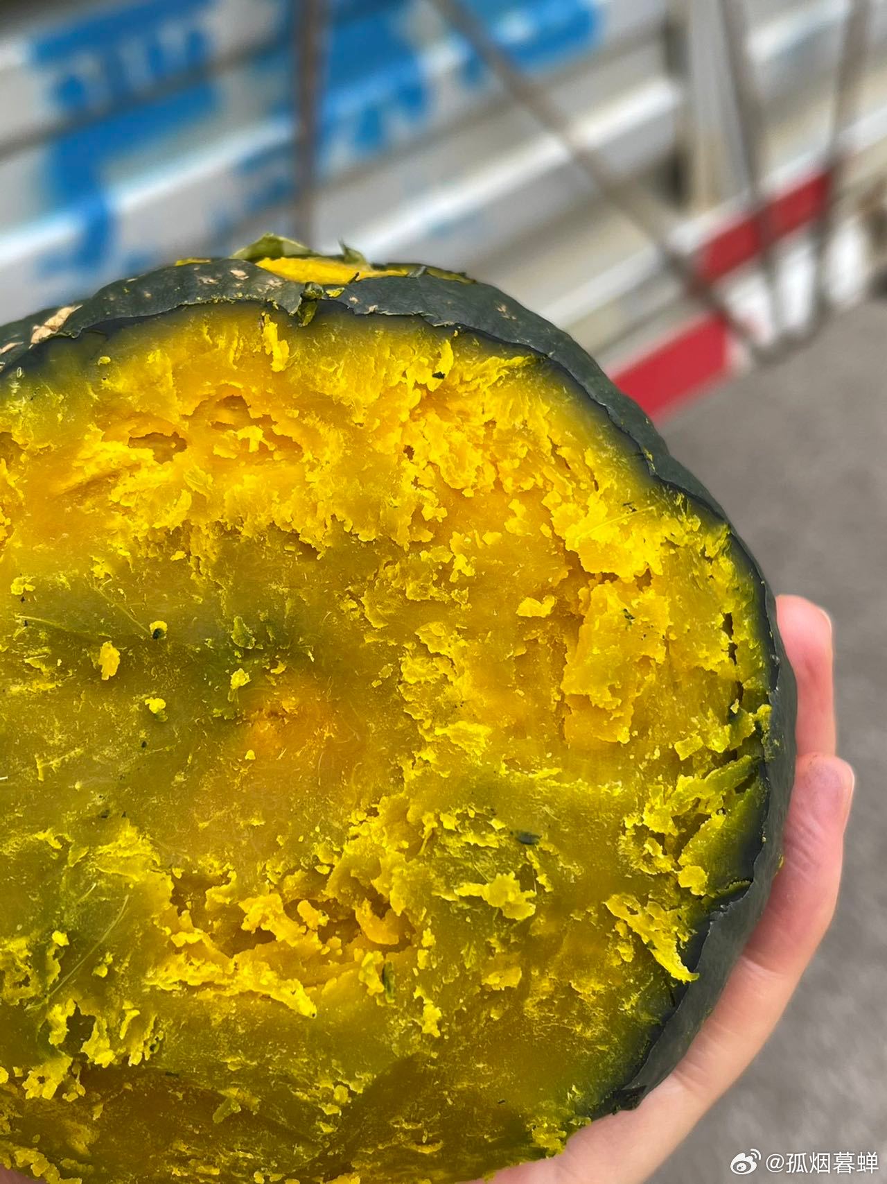 鉤花新品速遞，一場(chǎng)與自然的美麗遨游之旅