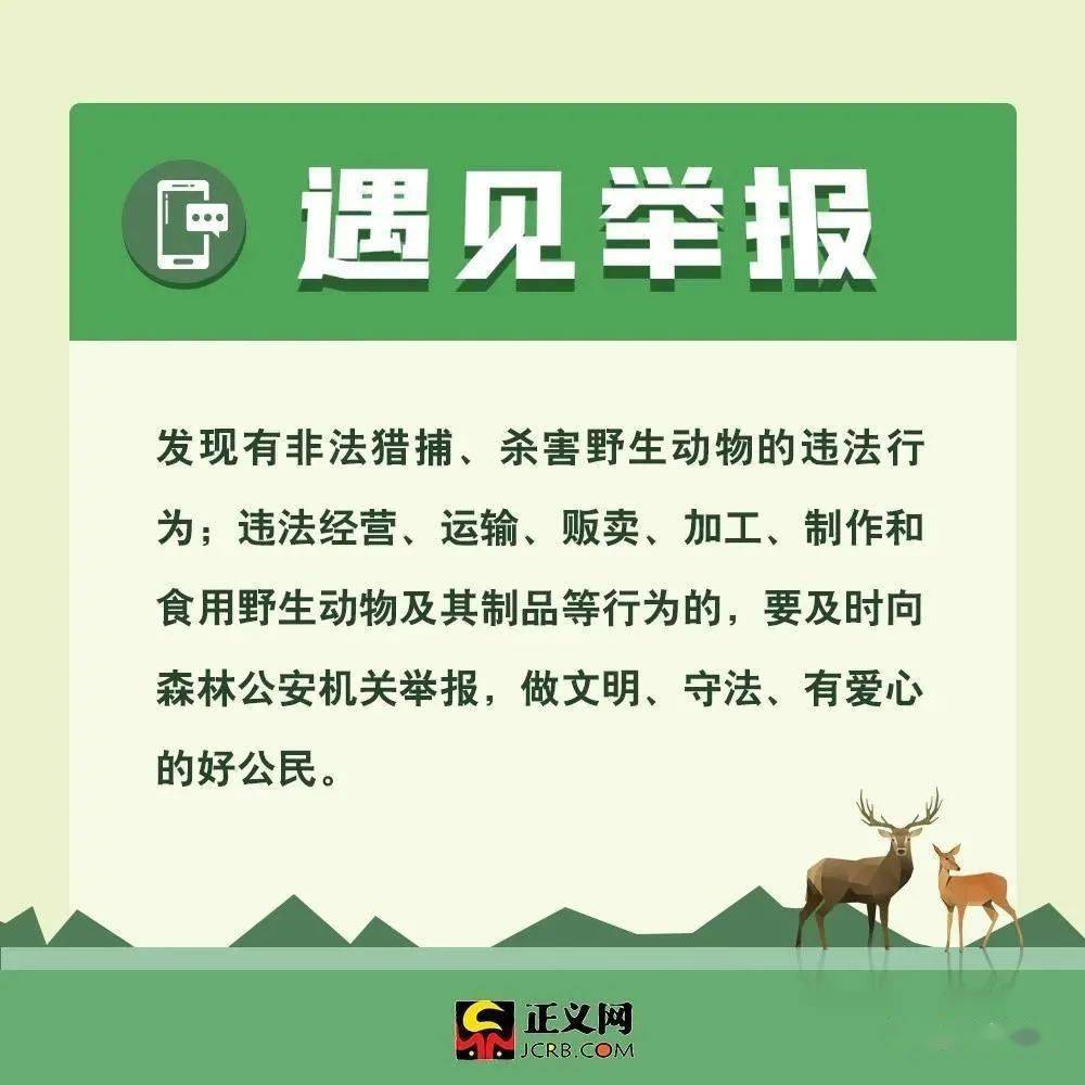 最新野生動物保護法規(guī)與小巷深處的綠色秘境探秘，保護行動與獨特小店的獨特故事