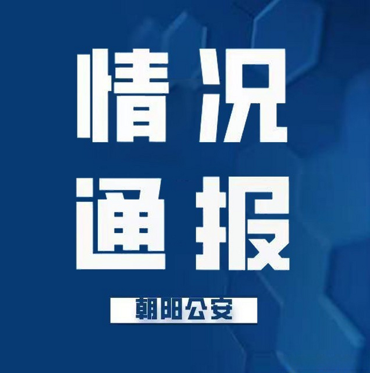 最新動態(tài)揭示，平凡日常的溫馨故事