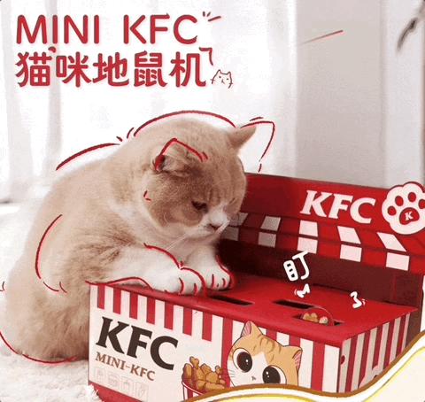 肯德基兒童套餐最新贈(zèng)品，學(xué)習(xí)與成長(zhǎng)的力量之源