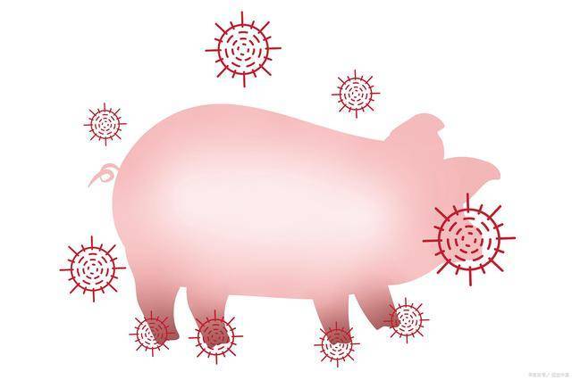 豬瘟疫情最新動態(tài)，一場與自然美景的輕松遨游之旅