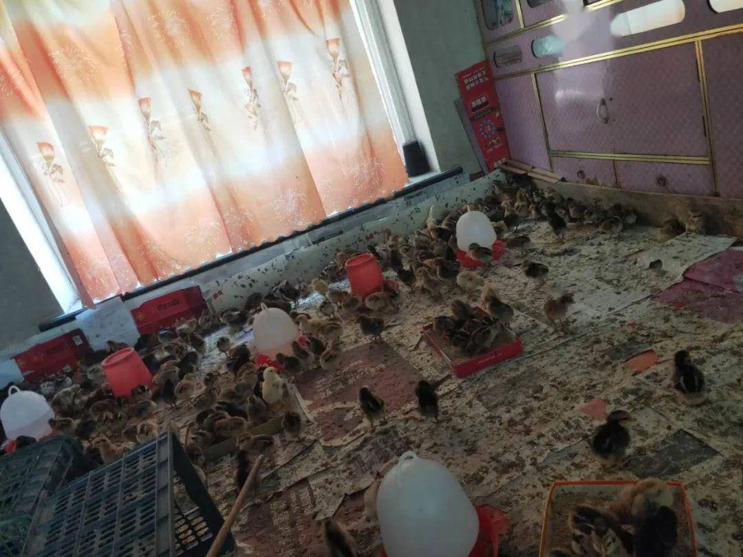 劉鑫最新動(dòng)態(tài)更新??