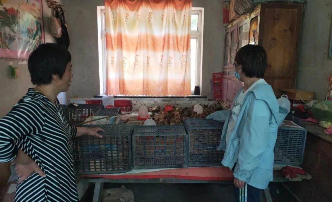 劉鑫最新動(dòng)態(tài)更新??