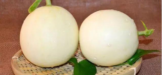 莘縣燕店鎮(zhèn)甜瓜價格，時代甜香記憶的探尋