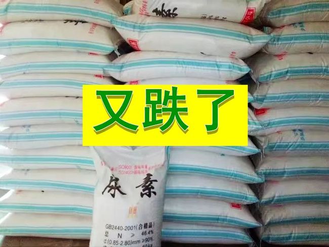 河南尿素今日最新價(jià)格更新