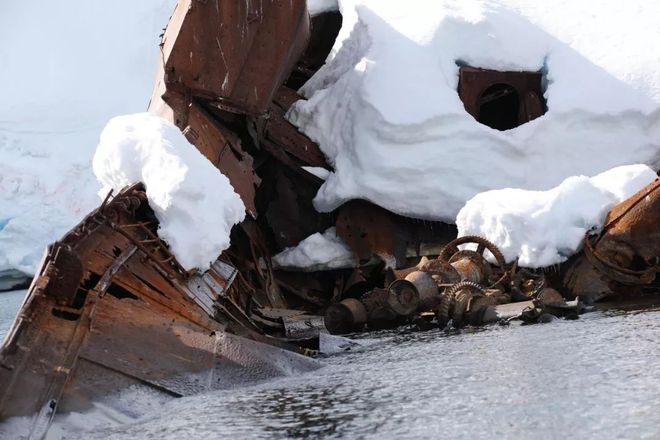 南極奇觀揭秘，探索奇跡與自我超越的力量最新報(bào)道