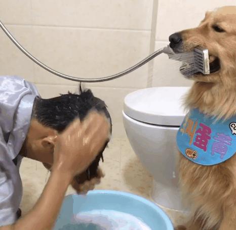 最新手機支架圖片展示，展現(xiàn)你的正能量與獨特風(fēng)格，學(xué)習(xí)變化與自信成就