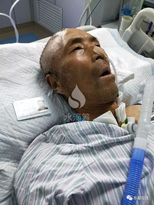 馮現(xiàn)學(xué)腦出血最新消息及應(yīng)對幫助指南（初學(xué)者與進階用戶參考）