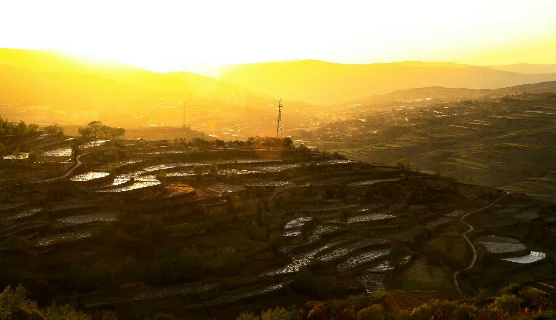 莊浪縣人社局最新留言觀點(diǎn)論述匯總