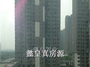 洛陽(yáng)泉舜房?jī)r(jià)最新動(dòng)態(tài)全面解析，如何獲取與理解房?jī)r(jià)走勢(shì)及最新消息