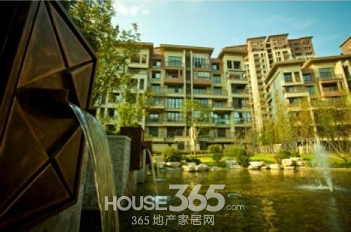 國信觀湖灣最新動態(tài)，深度分析與個人觀點分享