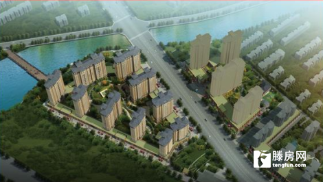 滕州大同國際最新動態(tài)更新