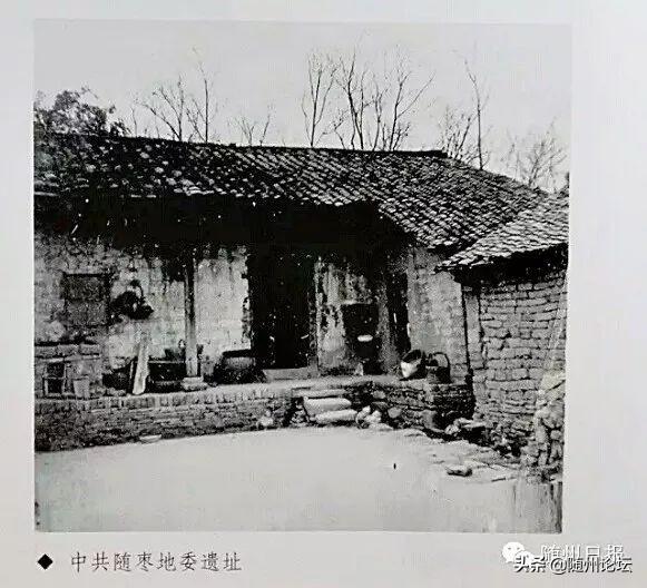 棗陽鹿頭新聞最新動態(tài)及觀點論述