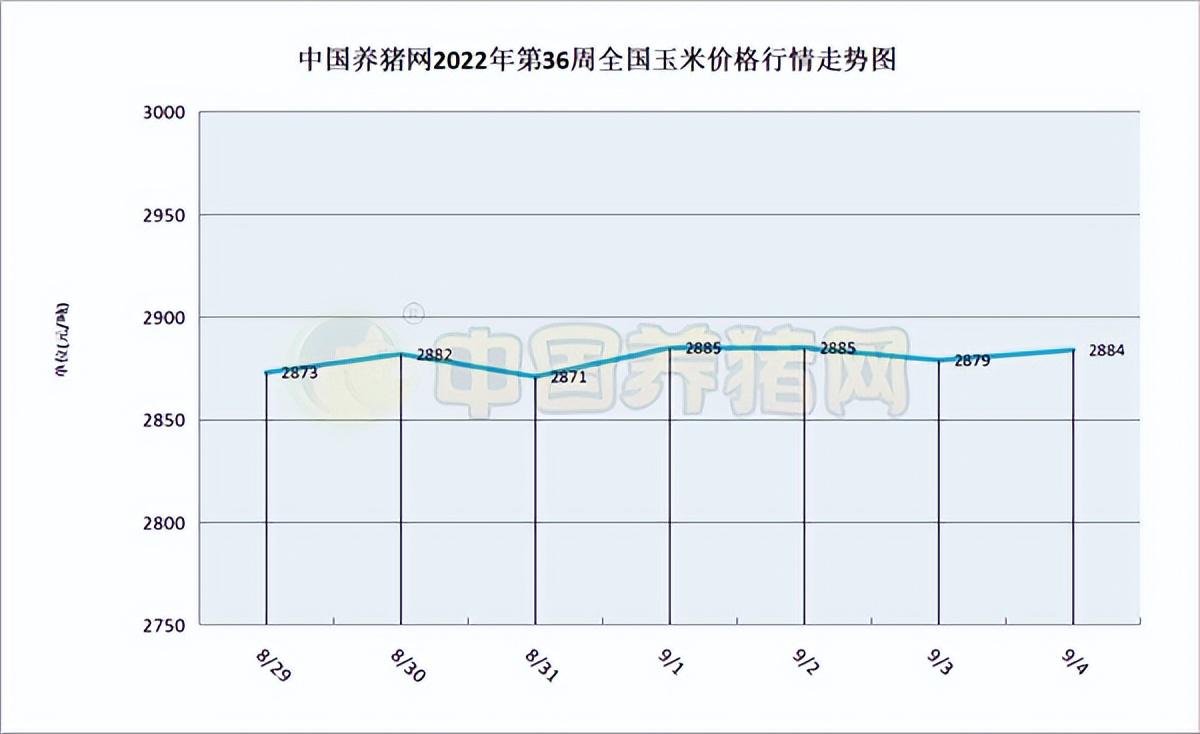 2025最新玉米價(jià)格走勢(shì)圖解析與步驟指南