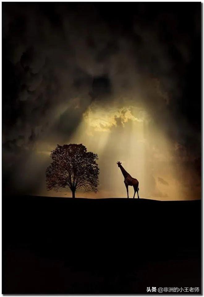 肯尼亞旅游安全狀況最新消息分析