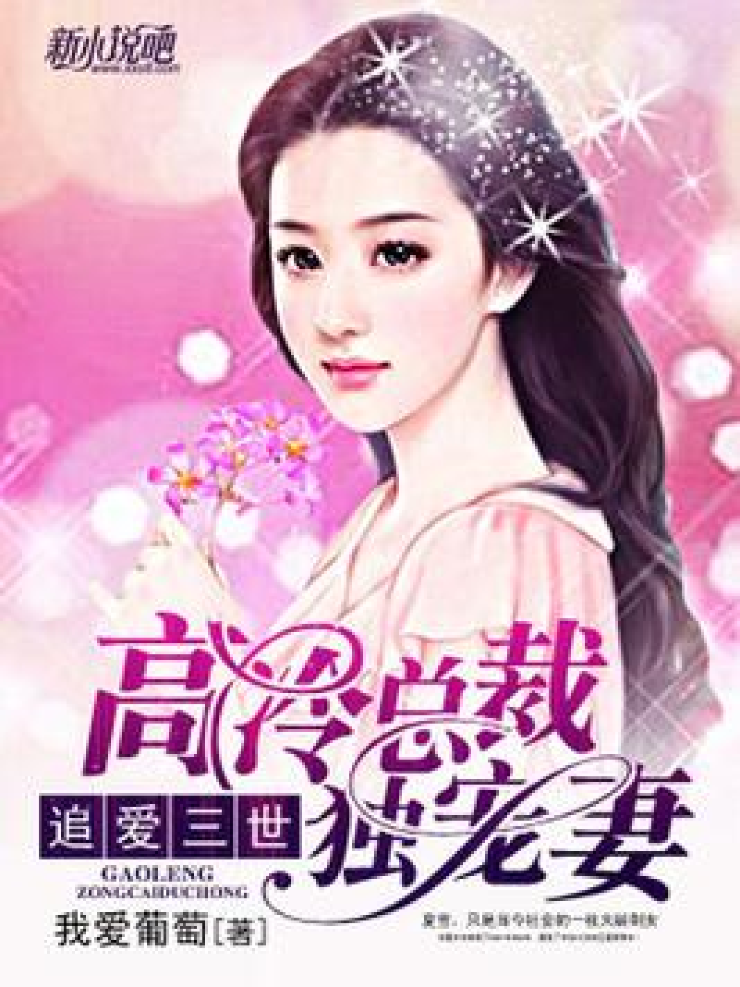 二婚盛寵最新章節(jié)列表全覽