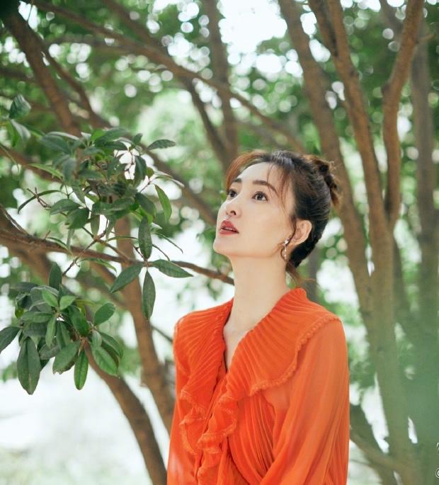 王麗坤最新電視劇，巷弄深處的星光與獨(dú)特小店之旅